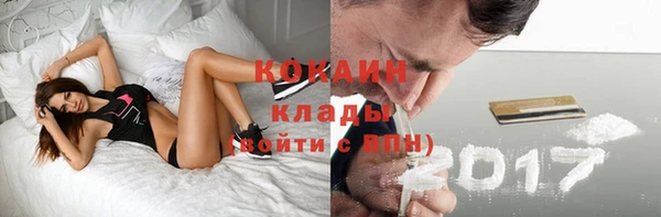 тгк Алексин
