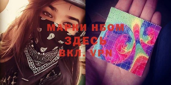прущие грибы Алзамай
