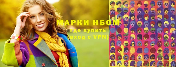 прущие грибы Алзамай