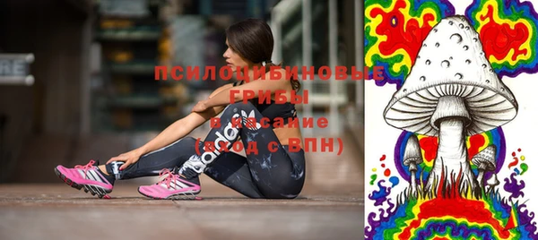 тгк Алексин