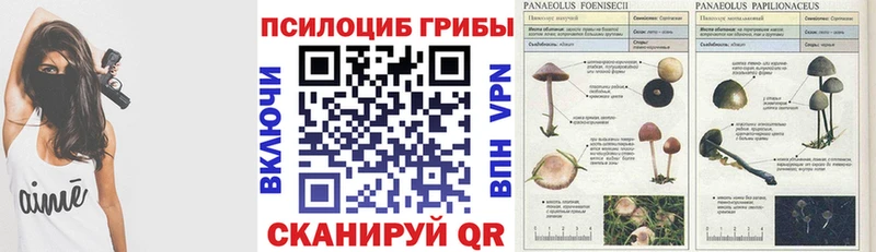 Галлюциногенные грибы GOLDEN TEACHER  наркота  Ува 